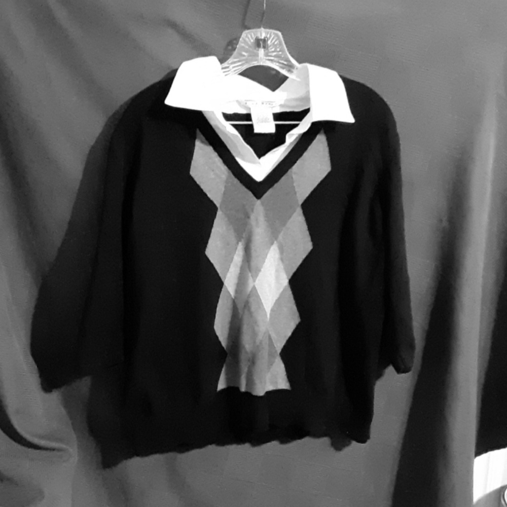 Fred David woman 1x sweater